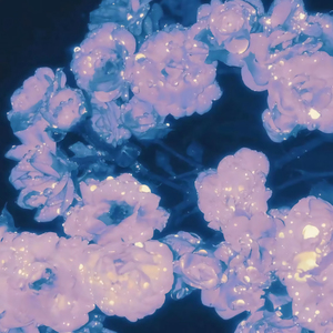 白胖肥妇污污污短视频免费观看下载
